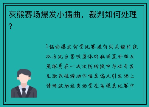 灰熊赛场爆发小插曲，裁判如何处理？