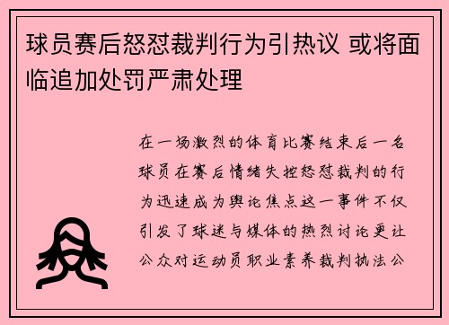 球员赛后怒怼裁判行为引热议 或将面临追加处罚严肃处理